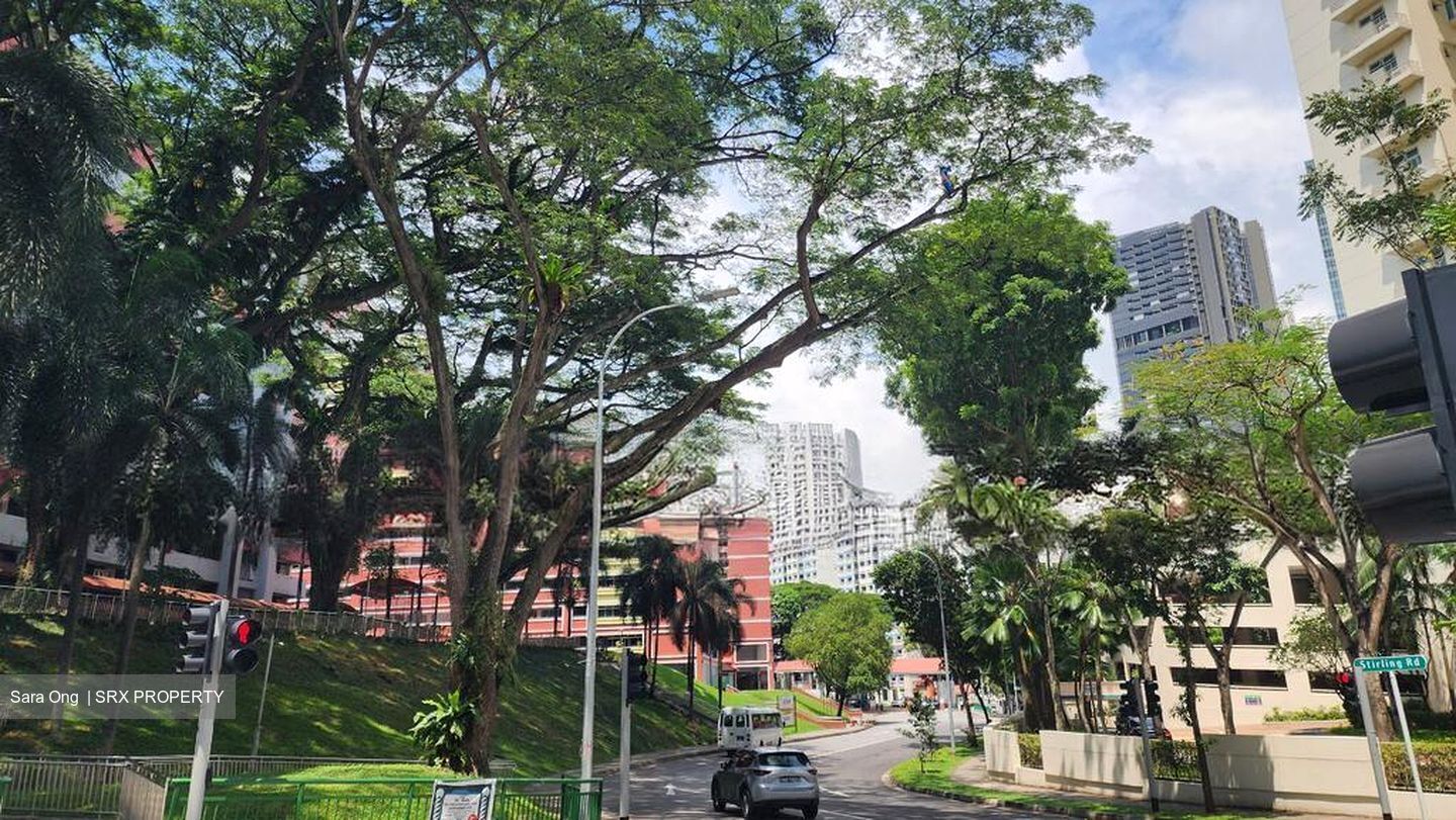 Blk 171 Stirling View (Queenstown), HDB 3 Rooms #504593701